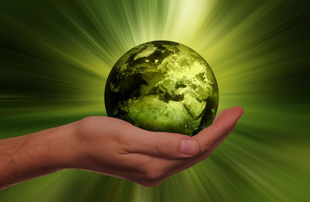 ECOSAPIENS educhiamo per natura: per l’impresa che fa ponte verso la scuola