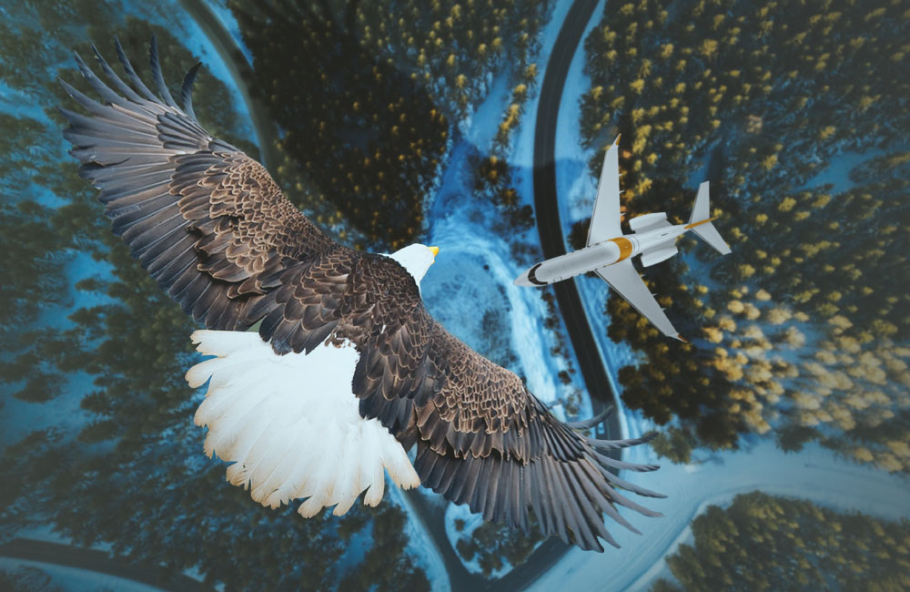 Turismo accessibile: l’opportunità per il turismo del futuro