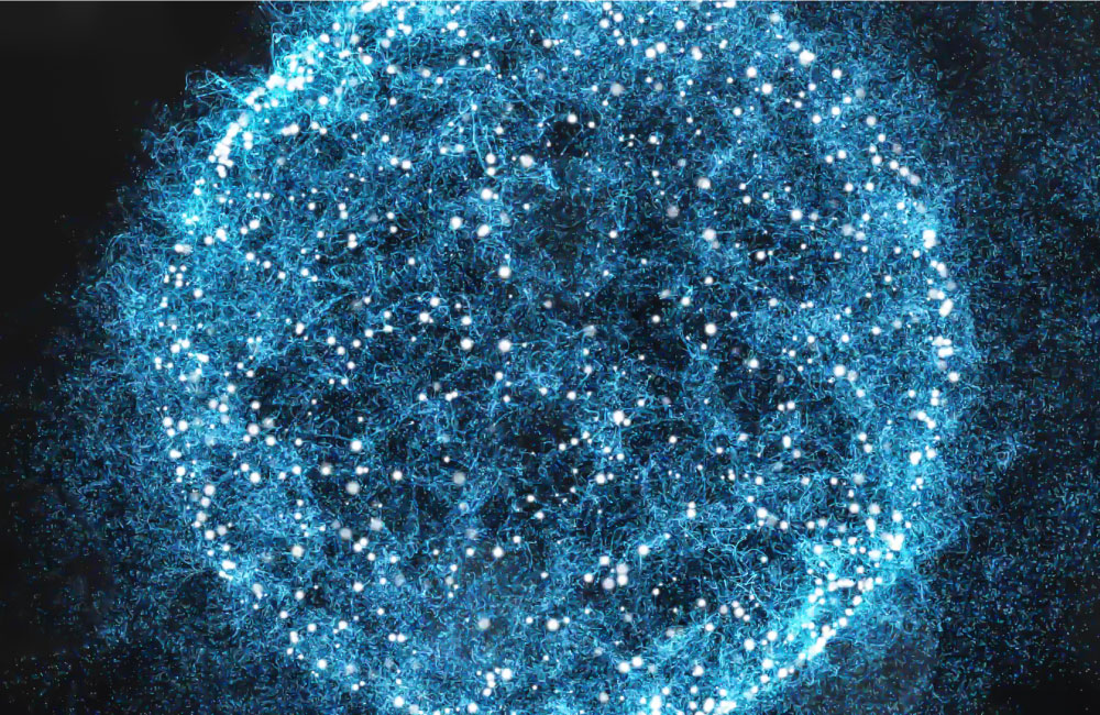 Gli ordini del successo in azienda. Le costellazioni familiari applicate alla sfera del lavoro